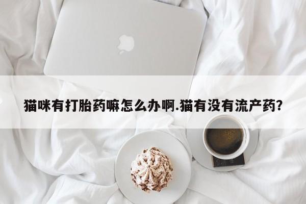 米非米索如何购买猫咪有打胎药嘛怎么办啊.猫有没有流产药？